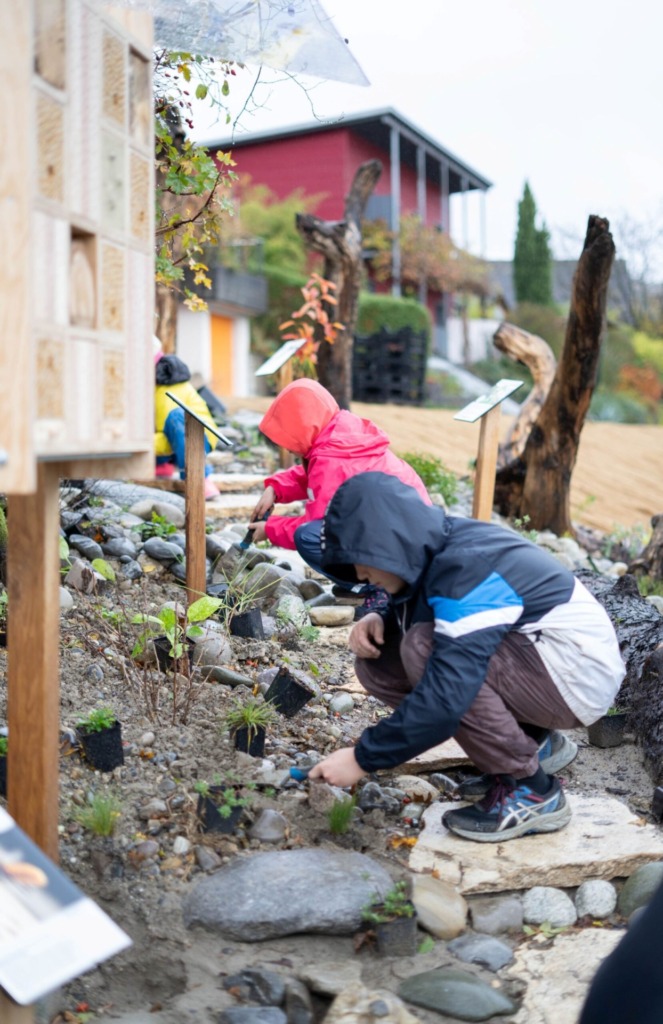 Wildbienenparadies - LEBENSRAUM AARGAU - Mit der gemeinnützigen Stiftung der AKB soziale, kulturelle und ökologische Projekte realisieren 1